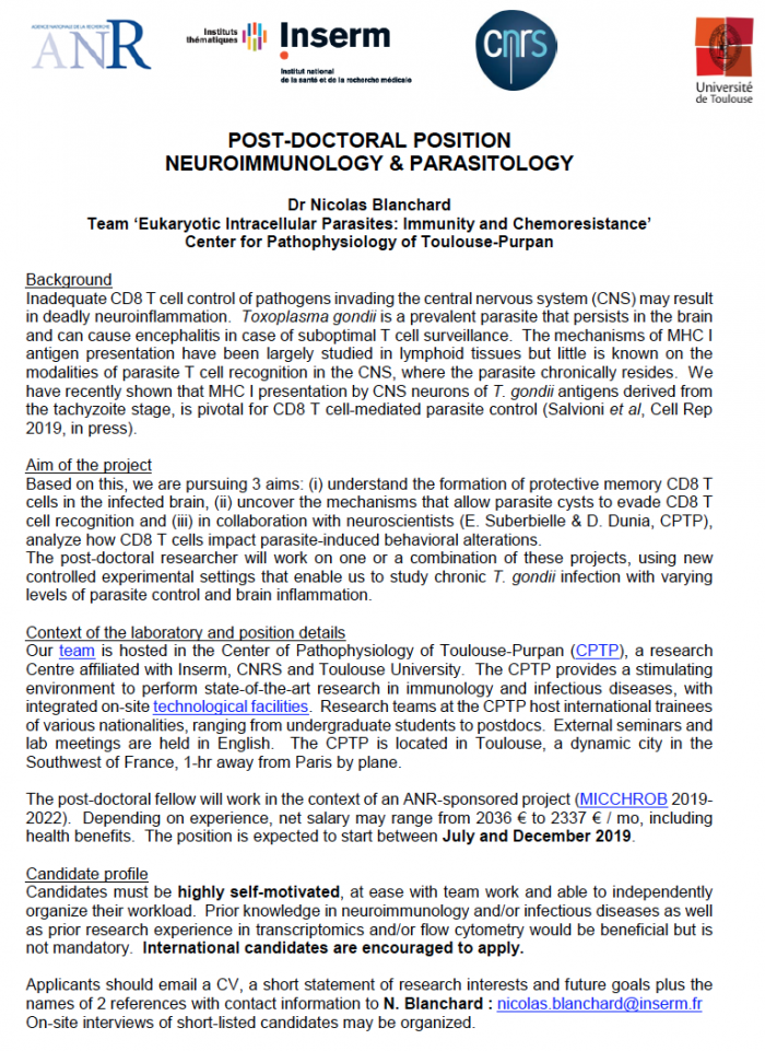 ../upload_images/1558617054-20190519-postdoc-position-blanchard-team-toulouse.png